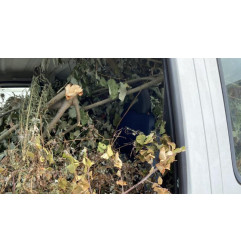 Retroviseur droit PEUGEOT BOXER 2