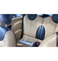 Custode arriere gauche MINI MINI 1 R50/R53