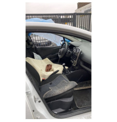 Volant RENAULT CLIO 4