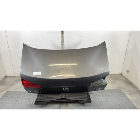 Malle/Hayon arriere PEUGEOT 607 Photo n°1