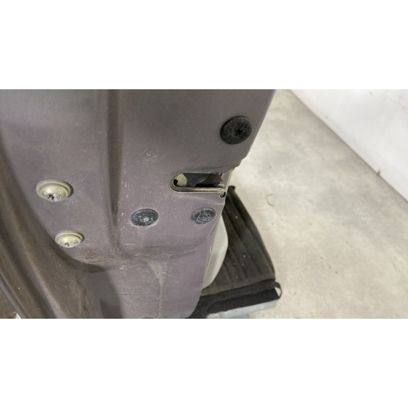 Porte avant gauche RENAULT SCENIC 1 Photo n°3
