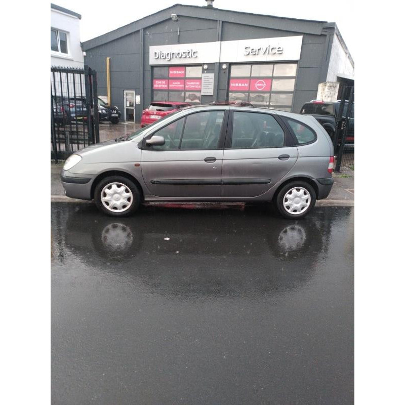 Porte avant gauche RENAULT SCENIC 1 Photo n°7