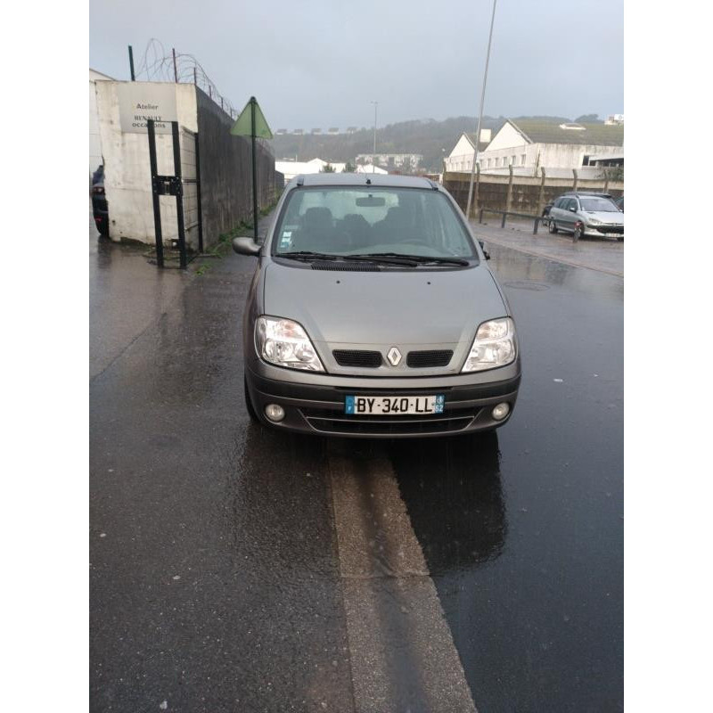 Porte avant gauche RENAULT SCENIC 1 Photo n°13
