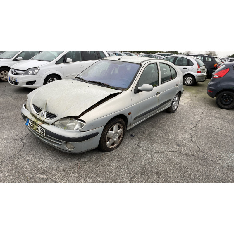 Porte arriere gauche RENAULT MEGANE 1 Photo n°6