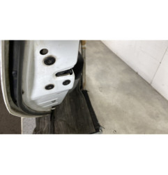 Porte arriere gauche RENAULT SCENIC 2