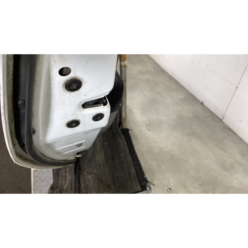 Porte arriere gauche RENAULT SCENIC 2 Photo n°3