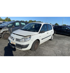 Porte arriere gauche RENAULT SCENIC 2