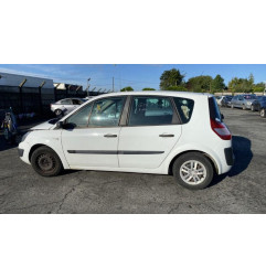 Porte arriere gauche RENAULT SCENIC 2