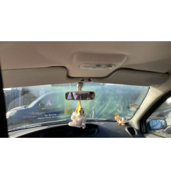Porte arriere gauche RENAULT SCENIC 2