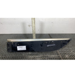 Baguette de porte arriere gauche  RENAULT SCENIC 3 Photo n°1