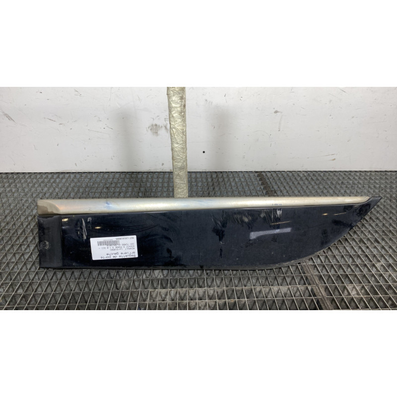Baguette de porte arriere gauche  RENAULT SCENIC 3 Photo n°1