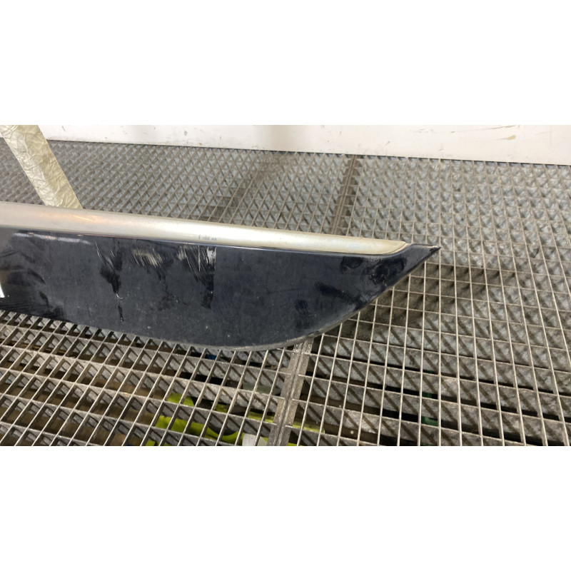 Baguette de porte arriere gauche  RENAULT SCENIC 3 Photo n°3