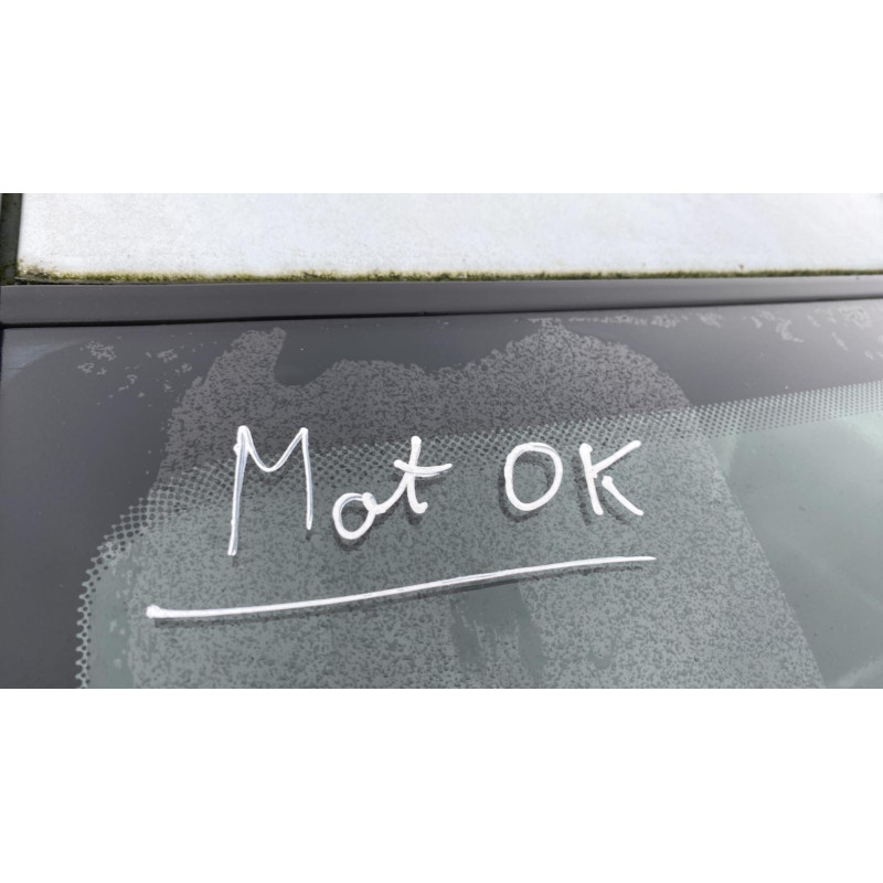 Glace retroviseur droit PEUGEOT 206 Photo n°15