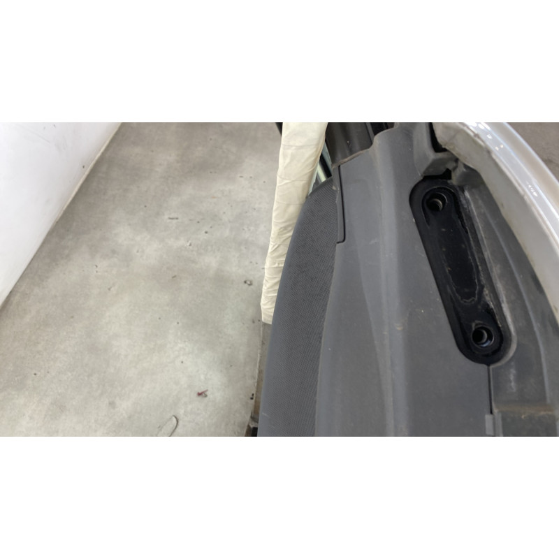 Porte arriere gauche SMART FORFOUR 1 Photo n°3