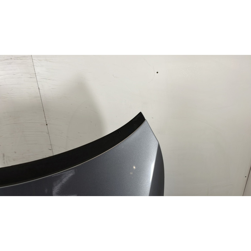 Capot VOLKSWAGEN GOLF PLUS Photo n°4