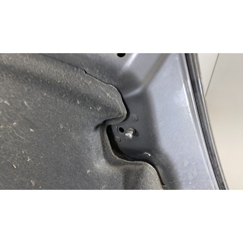 Capot OPEL INSIGNIA 1 Photo n°9