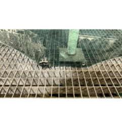 Vitre arriere droit CITROEN C4 2