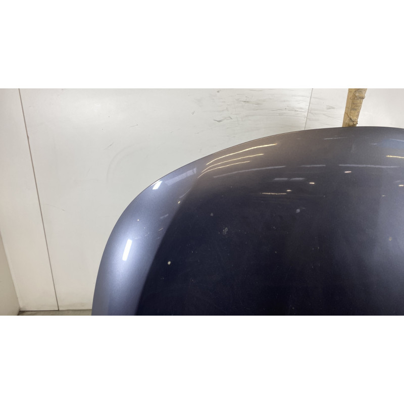 Capot RENAULT LATITUDE Photo n°2