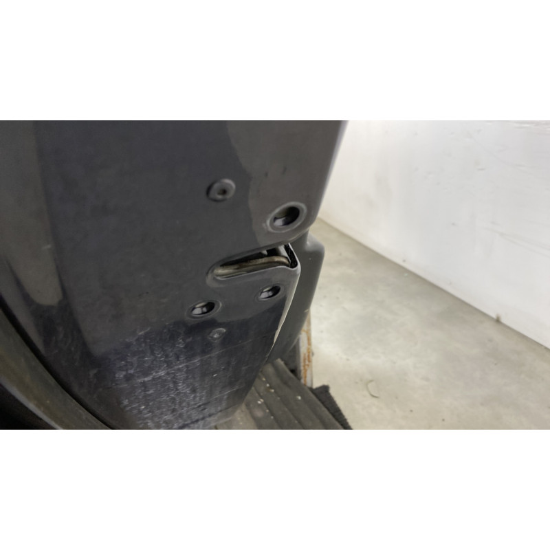 Porte arriere gauche RENAULT LATITUDE Photo n°3