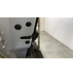 Porte arriere gauche SKODA FABIA 2