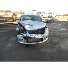Porte arriere gauche SKODA FABIA 2