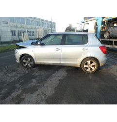 Porte arriere gauche SKODA FABIA 2