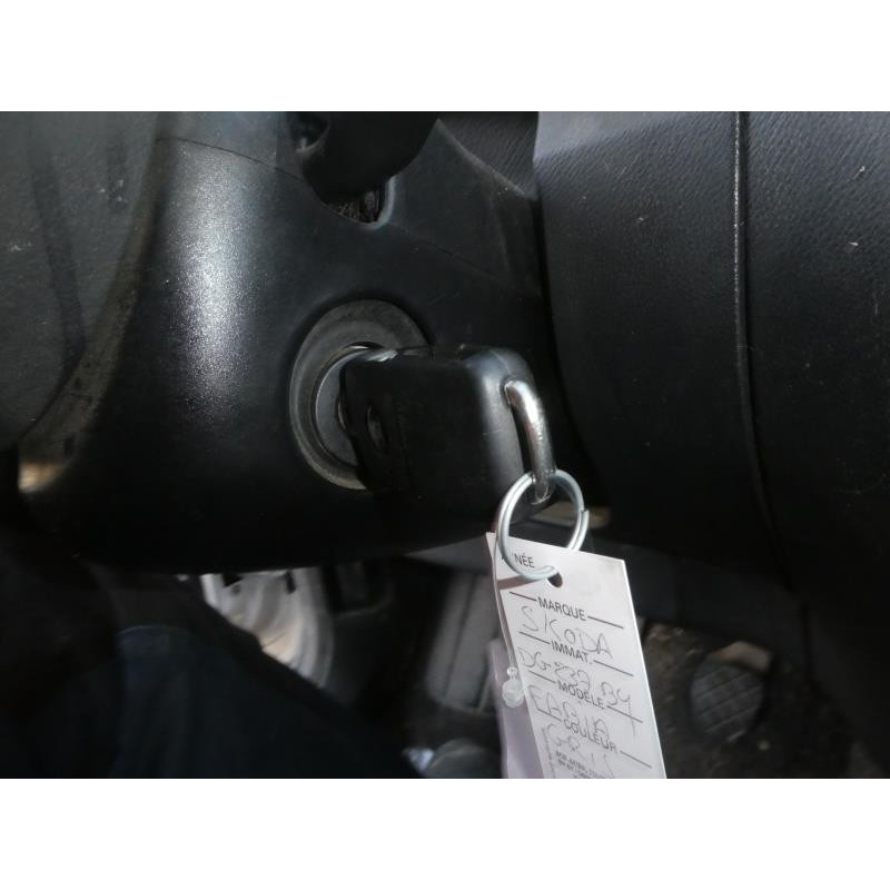 Porte arriere gauche SKODA FABIA 2 Photo n°12