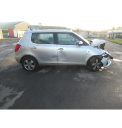 Porte arriere gauche SKODA FABIA 2