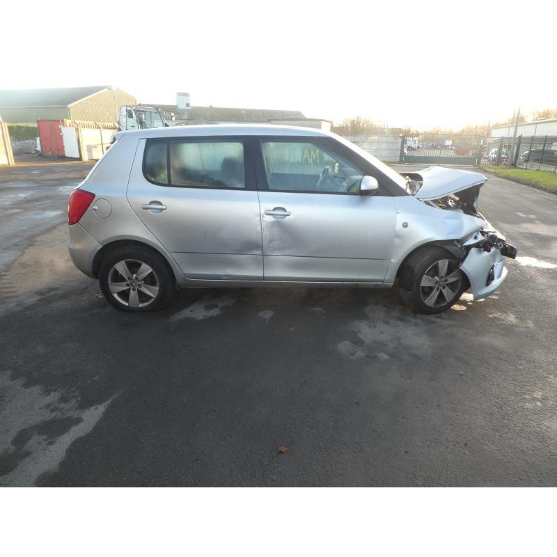 Porte arriere gauche SKODA FABIA 2 Photo n°14