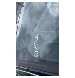 Jante CITROEN DS4