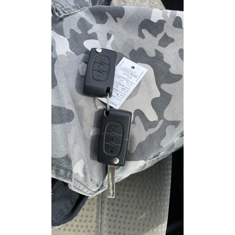 Porte avant gauche CITROEN C4 PICASSO 1 Photo n°11