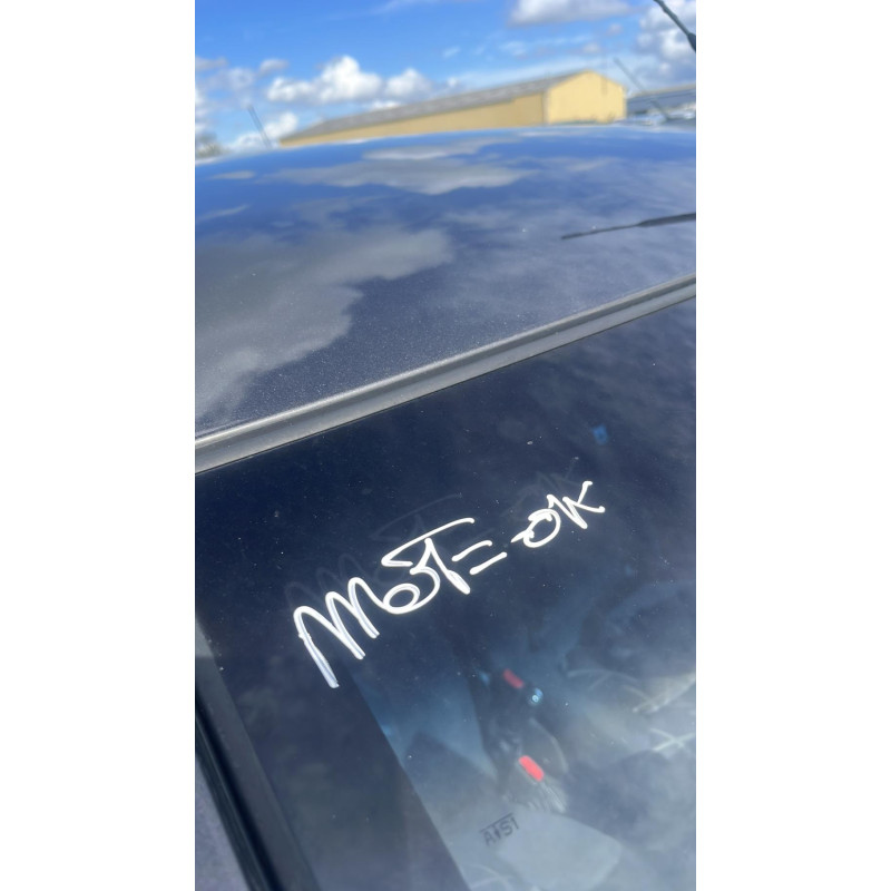 Porte arriere gauche CHEVROLET SPARK Photo n°12