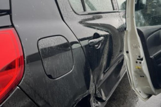 Pedale d'accelerateur RENAULT CLIO 3