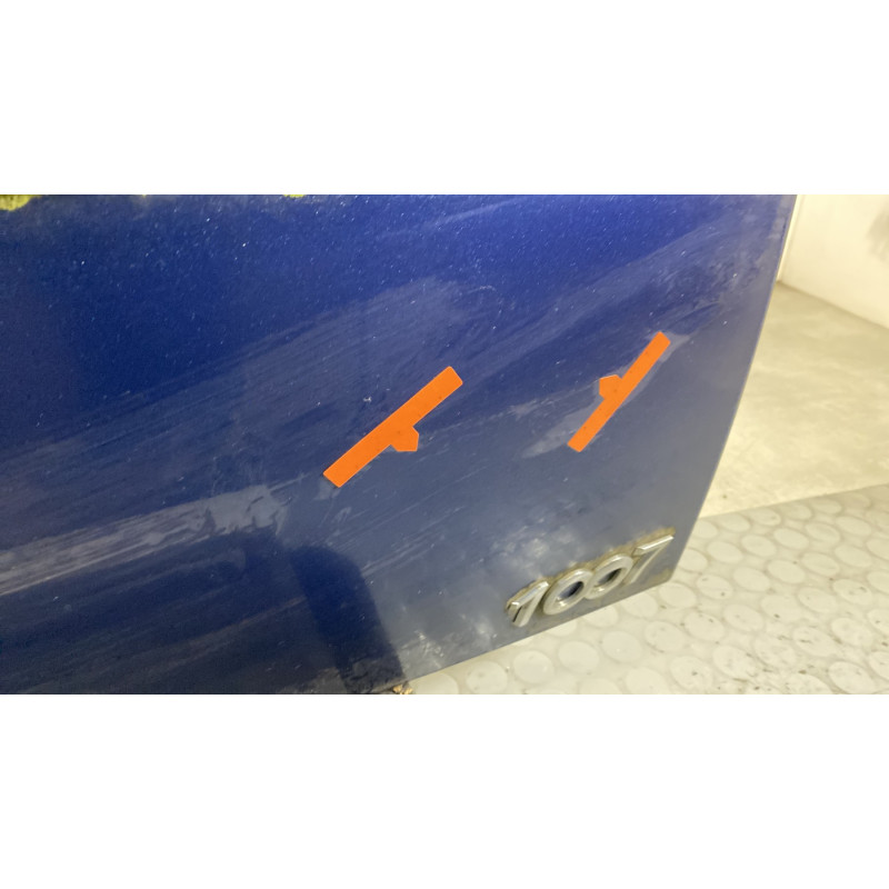 Malle/Hayon arriere PEUGEOT 1007 Photo n°5