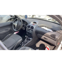 Verin de lunette arriere PEUGEOT 206