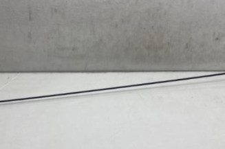 Antenne DACIA DOKKER Photo n°1