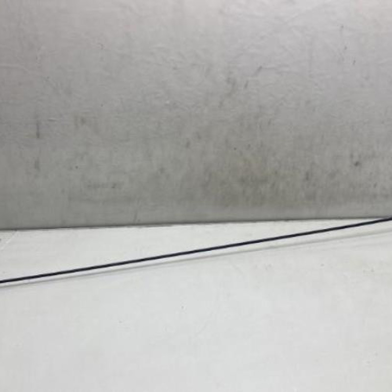 Antenne DACIA DOKKER Photo n°2