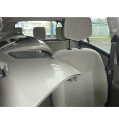 Porte arriere gauche RENAULT CLIO 3
