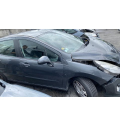Arret de porte arriere gauche PEUGEOT 308 1