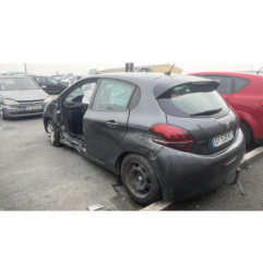 Mastervac PEUGEOT 208 1