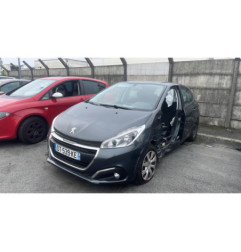 Mastervac PEUGEOT 208 1