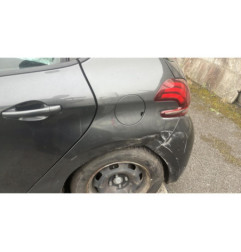 Mastervac PEUGEOT 208 1