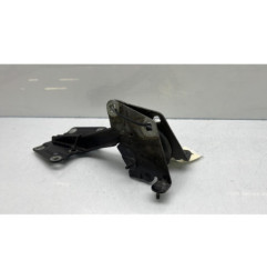 Charniere de capot RENAULT MEGANE 3 Photo n°1