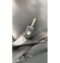 Porte arriere gauche CITROEN C5 2
