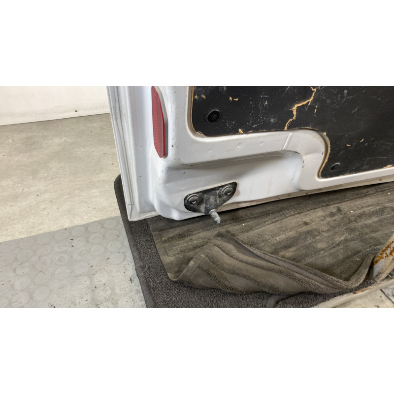 Porte de coffre gauche RENAULT KANGOO 2 Photo n°7