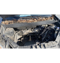 Vitre avant droit FORD FUSION