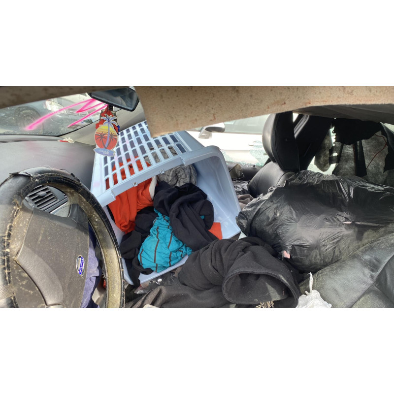 Capot VOLVO V 50 Photo n°19