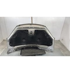 Capot FORD C-MAX 1