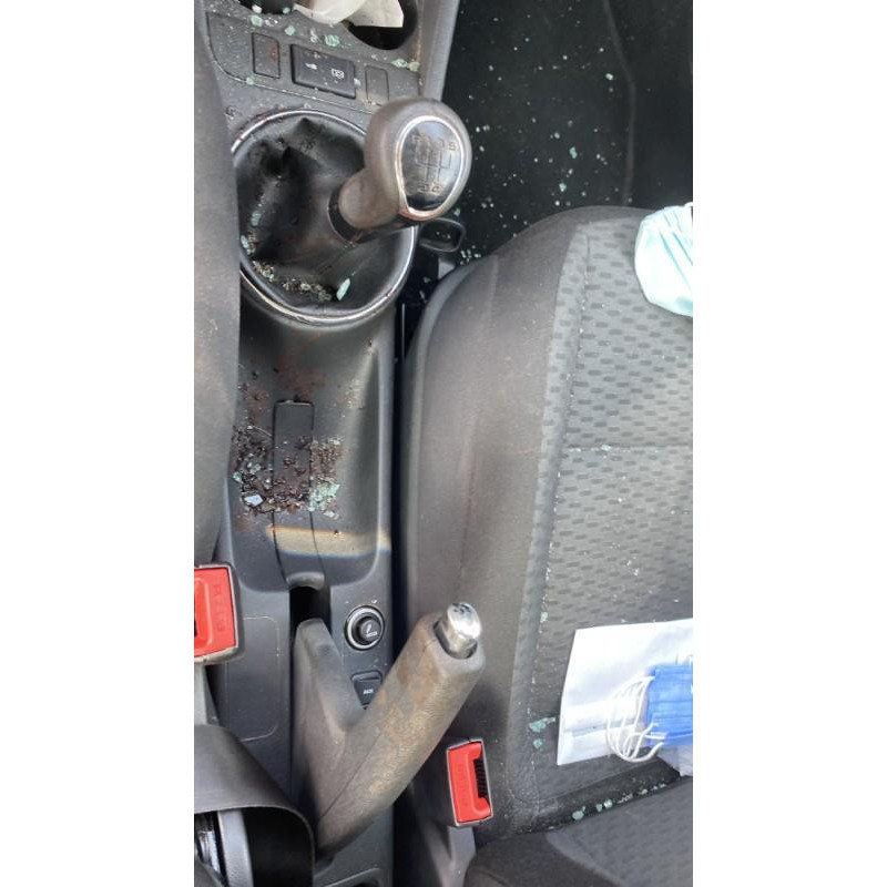 Porte avant droit SKODA FABIA 2 Photo n°8