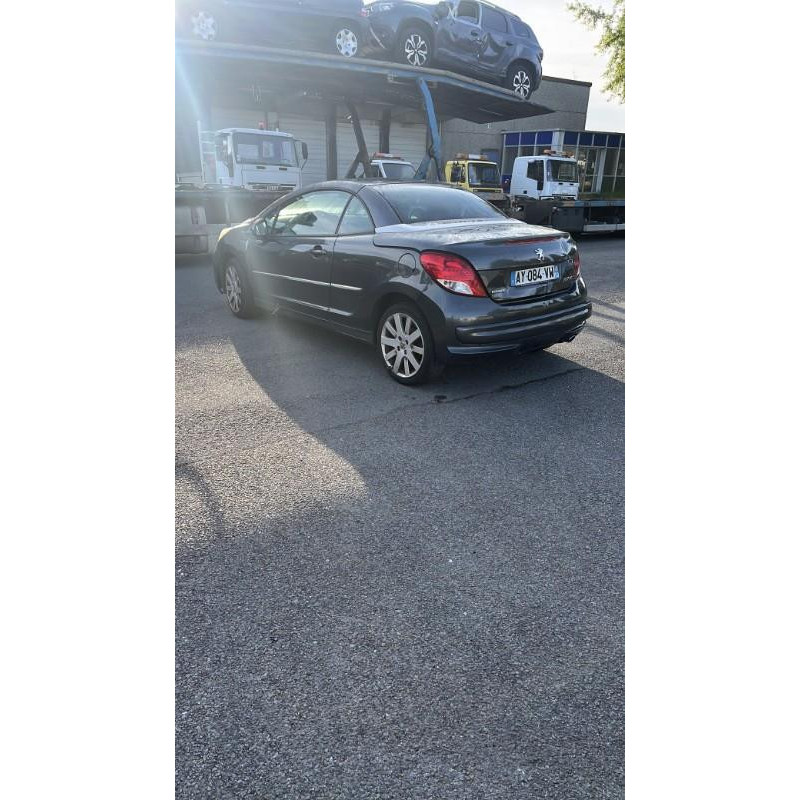Custode avant droit (porte) PEUGEOT 207 Photo n°11